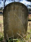 image of grave number 667359